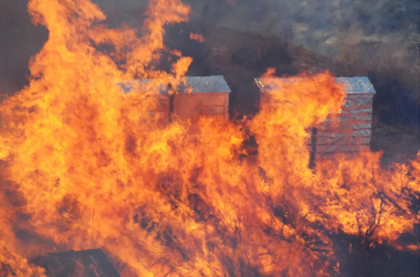 Panel C: Test structures engulfed in flames.